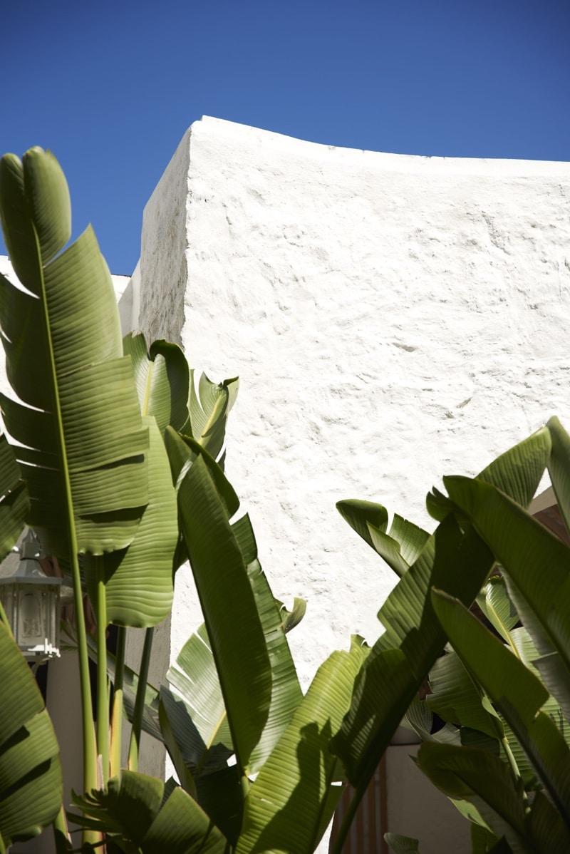 The Essence by 2Futures Mauritius